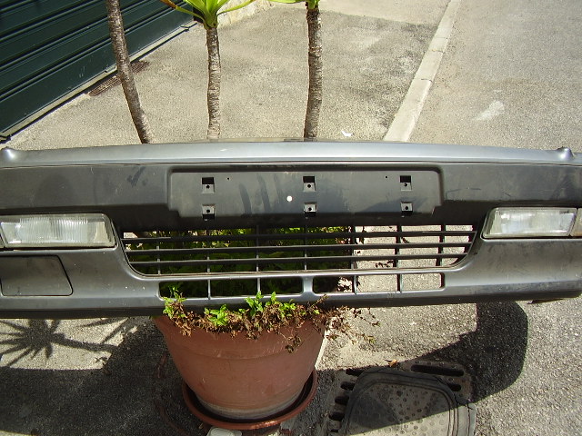 p4300445.jpg