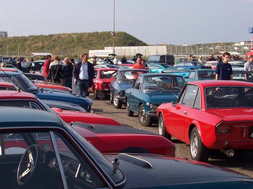 100_0884 fulvia paddock.jpg