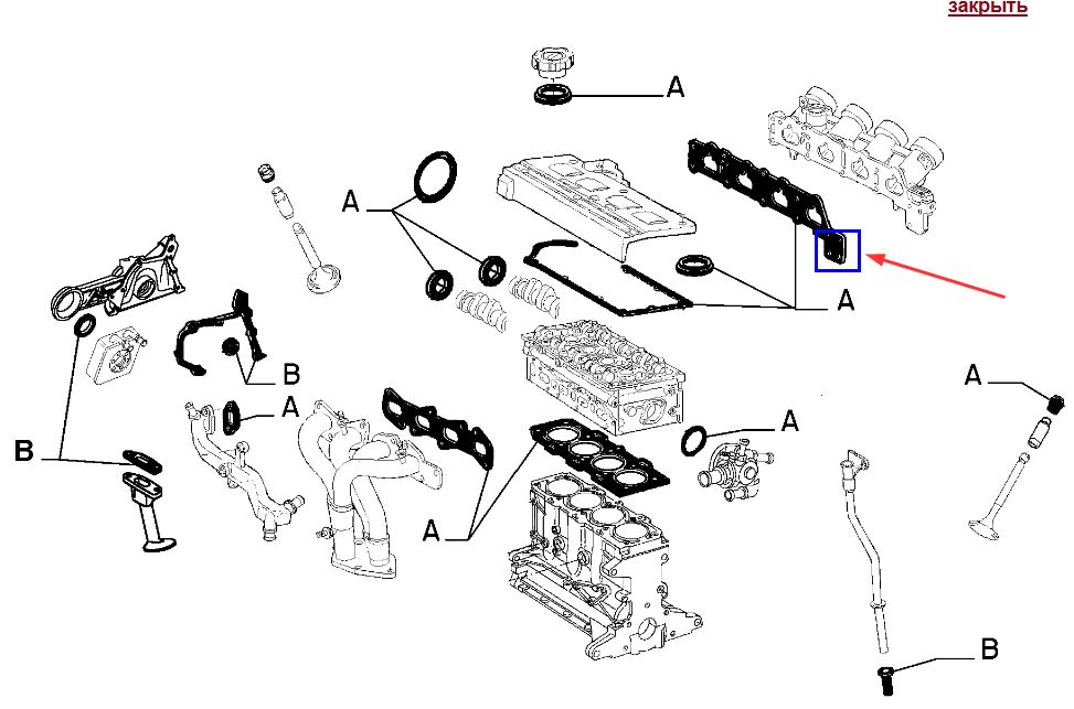 g1.jpg