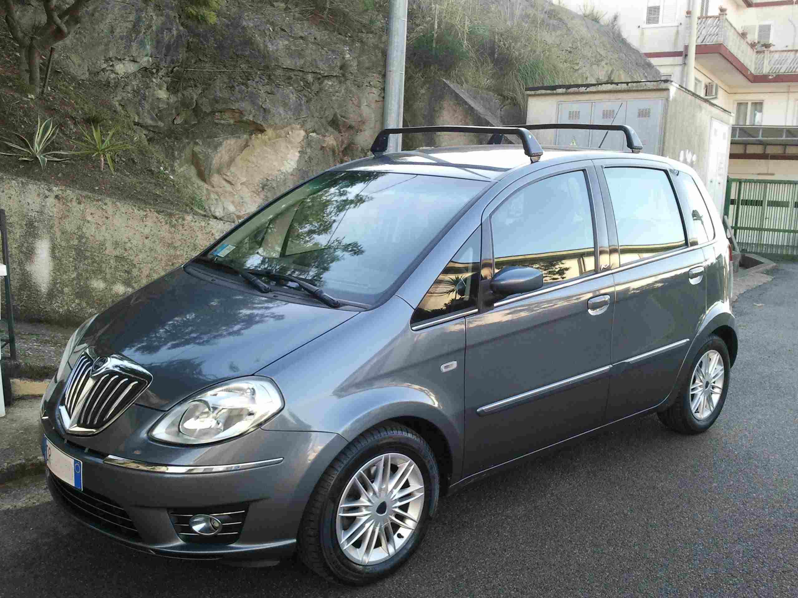 lancia musa - barre.jpg