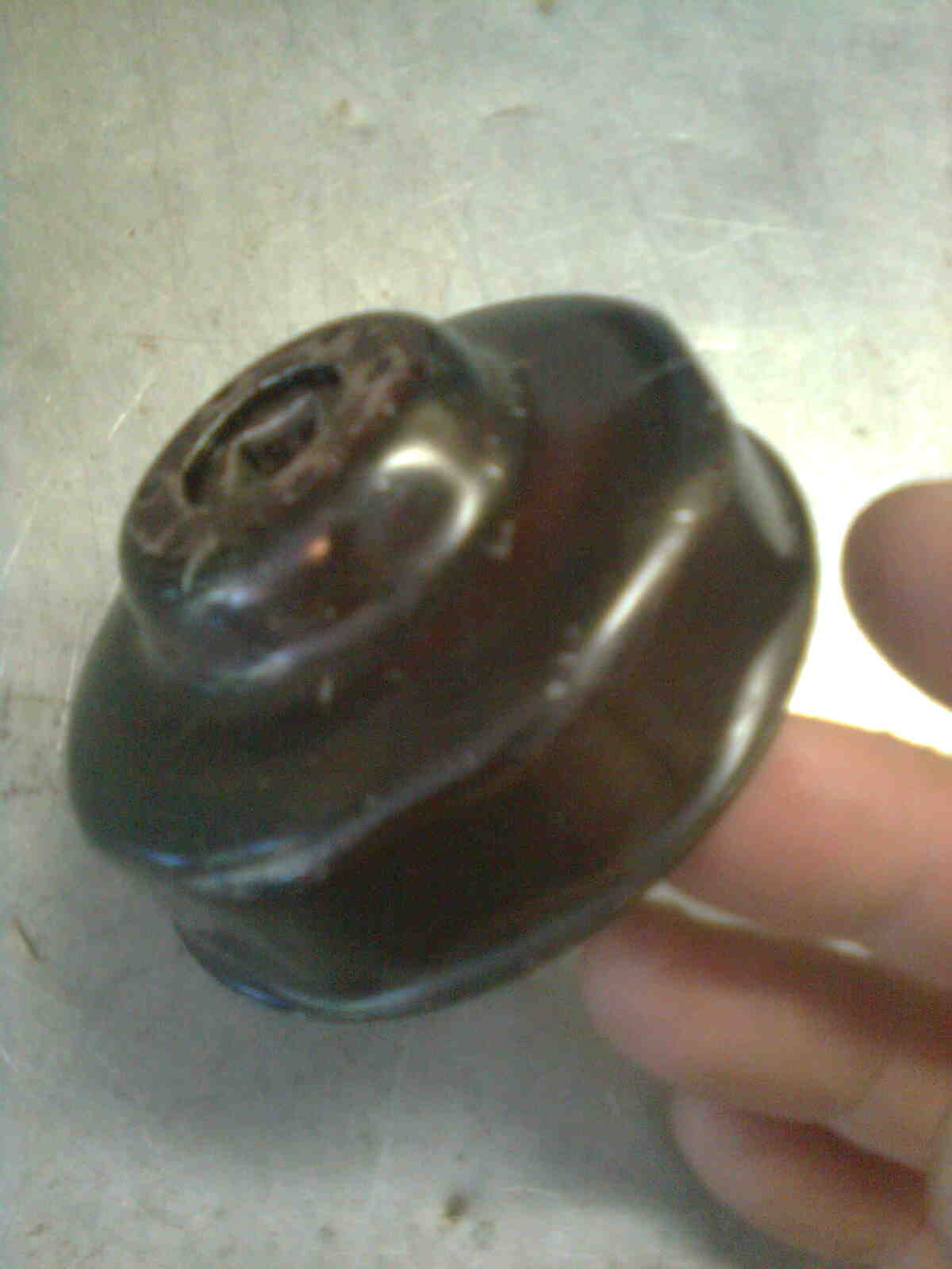 immag0473.jpg