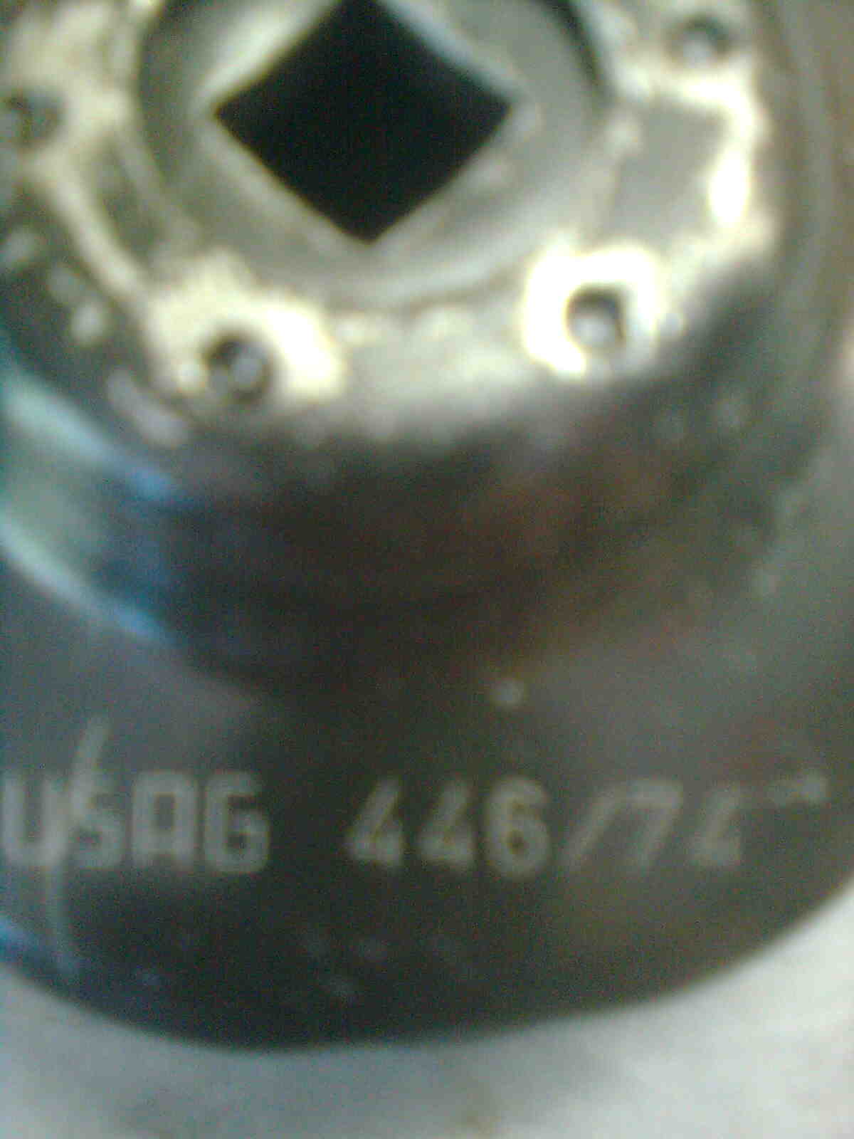 immag0474.jpg