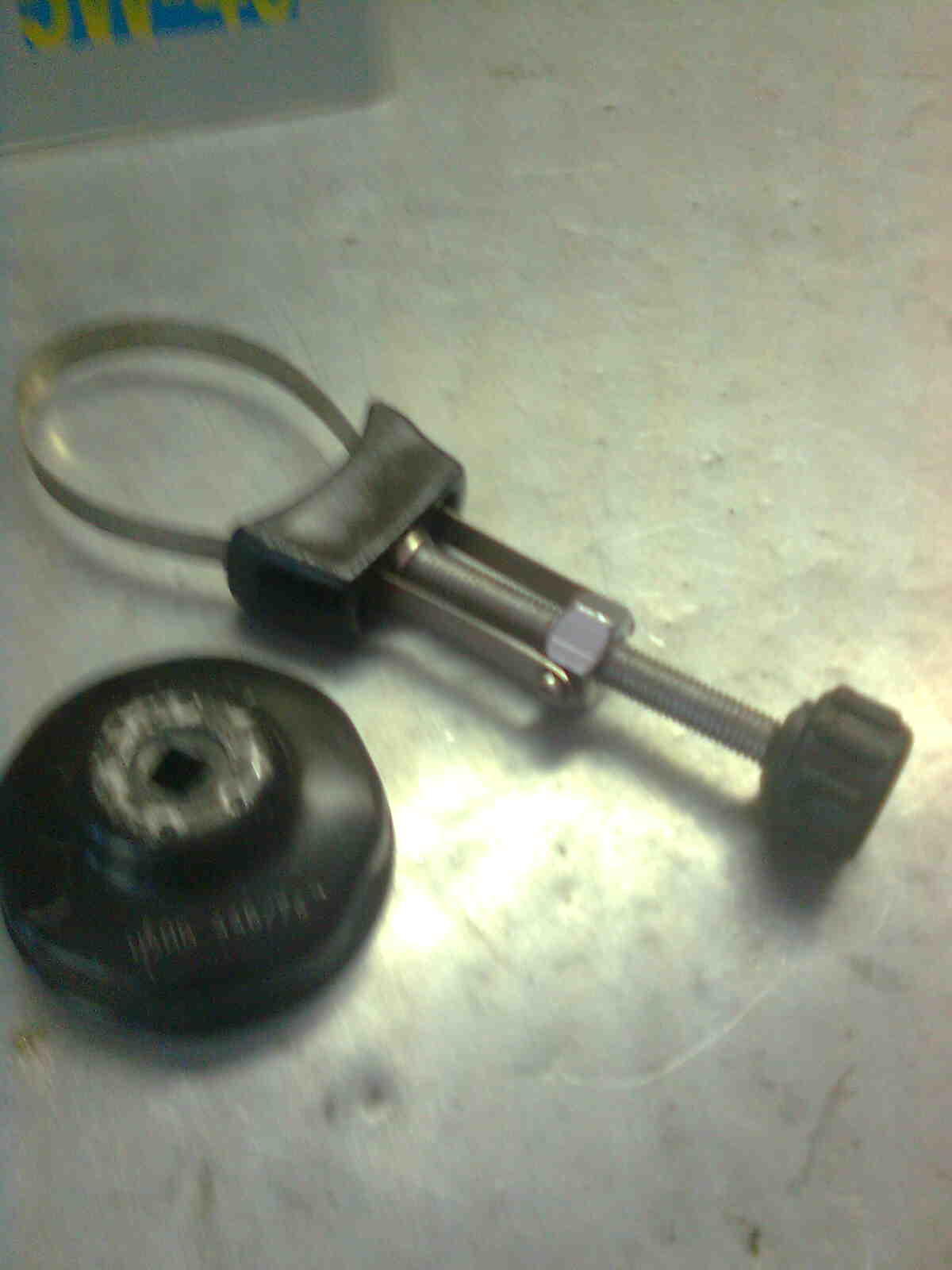 immag0475.jpg
