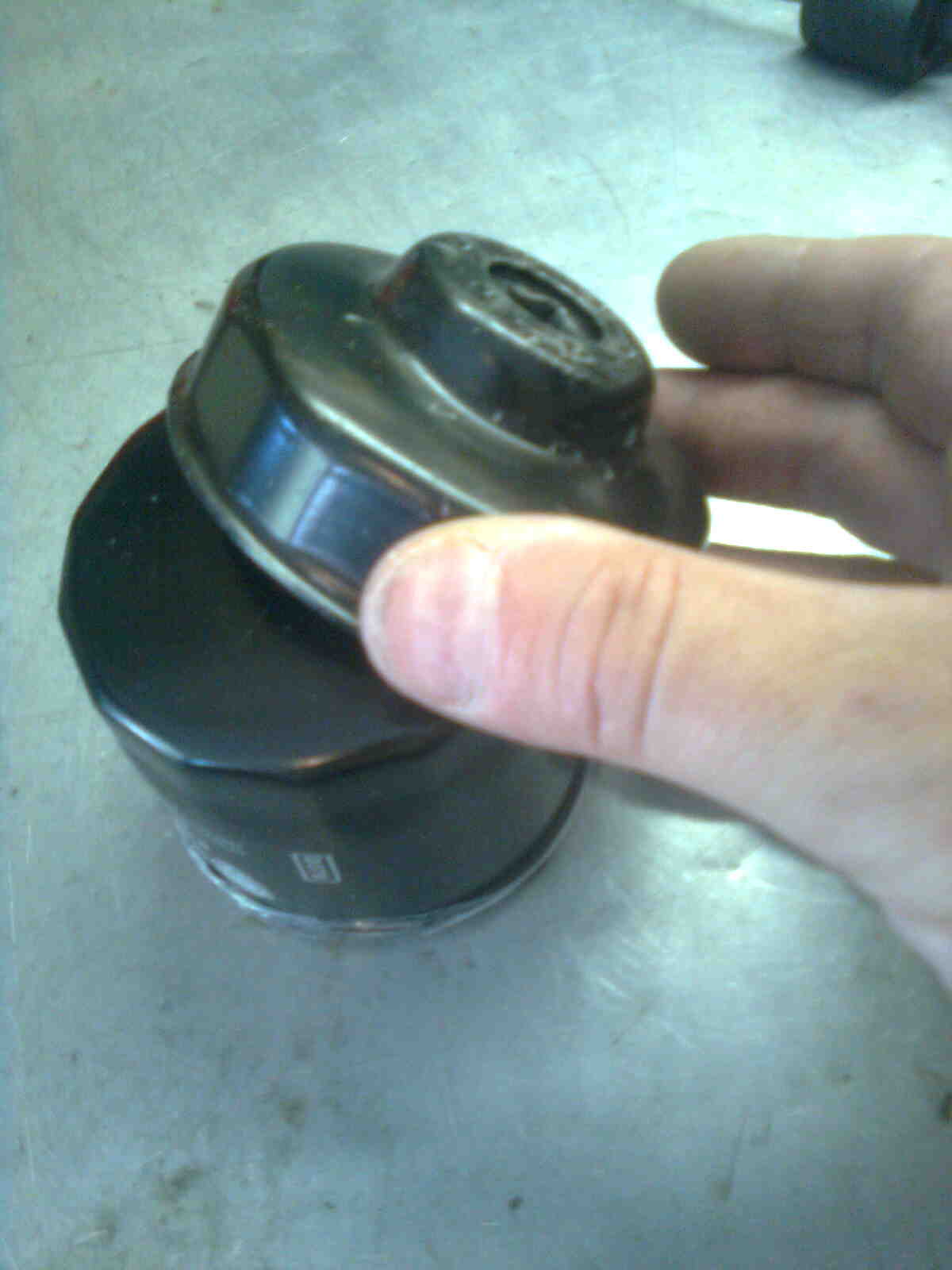 immag0477.jpg