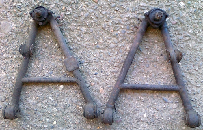 bracci.jpg