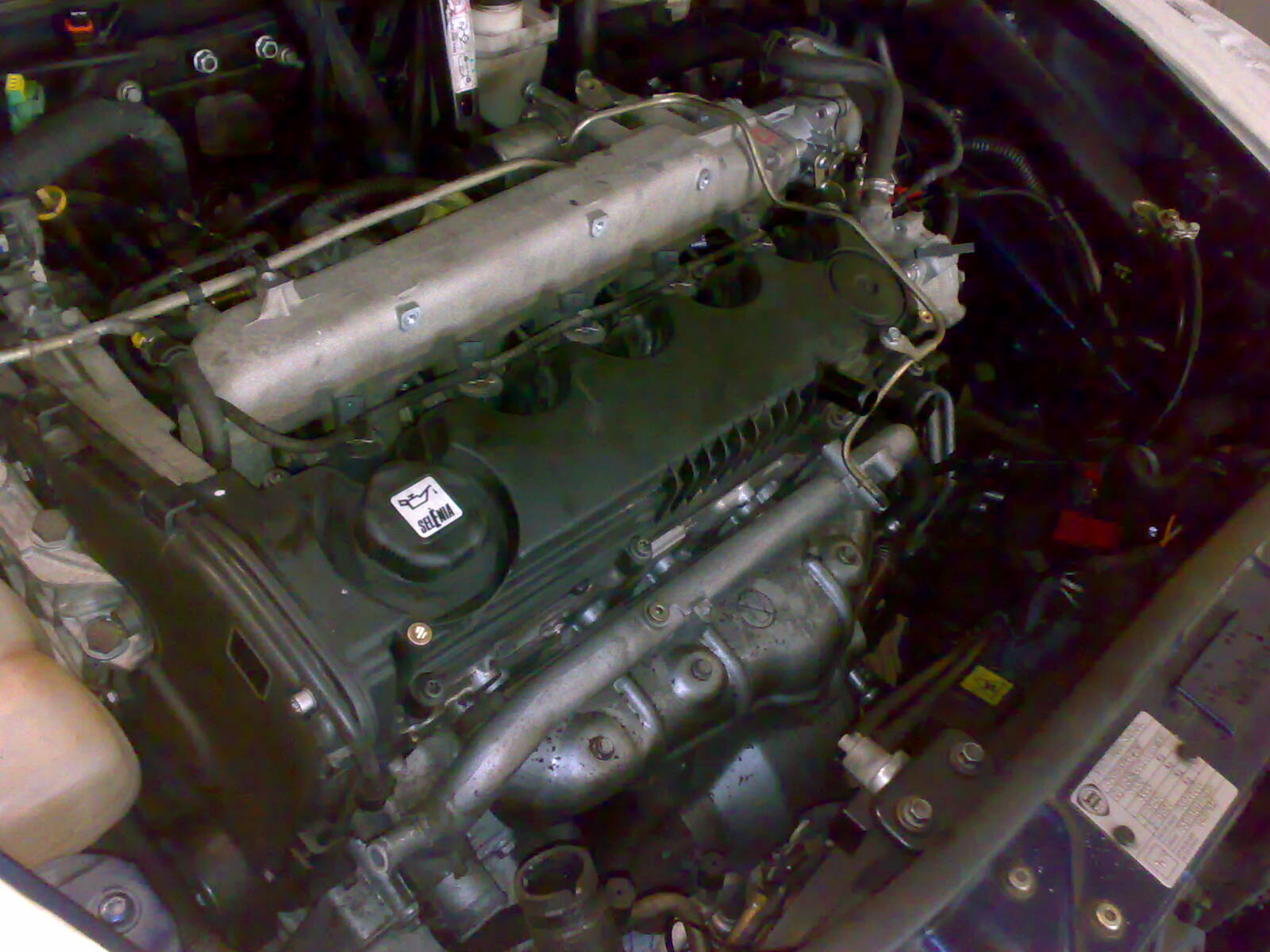29032012631.jpg