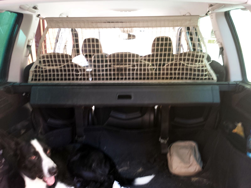 20130806_110938.jpg