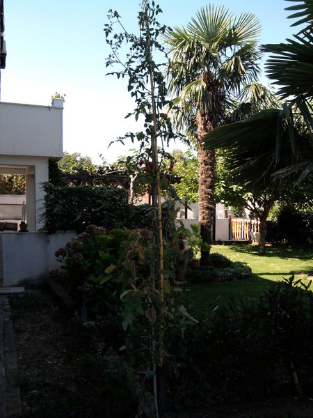 rsz_foto0092.jpg