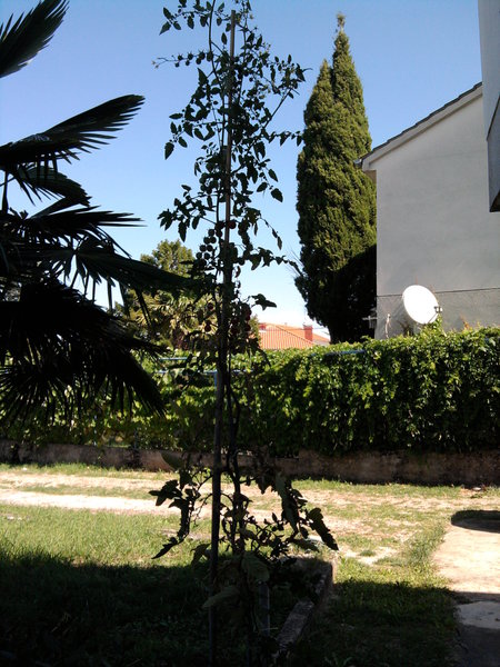rsz_foto0091.jpg