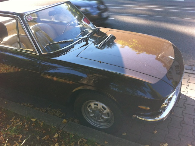 fulvia 3.jpg