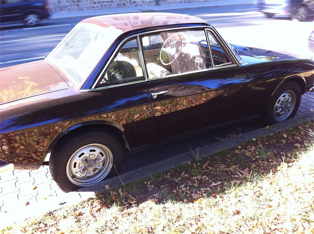 fulvia 4.jpg