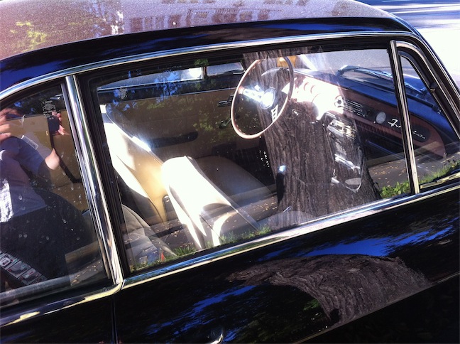 fulvia 5.jpg