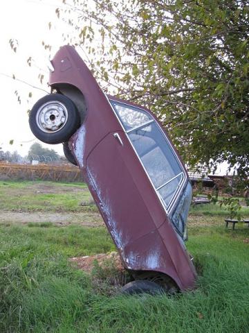 fulvia.jpg