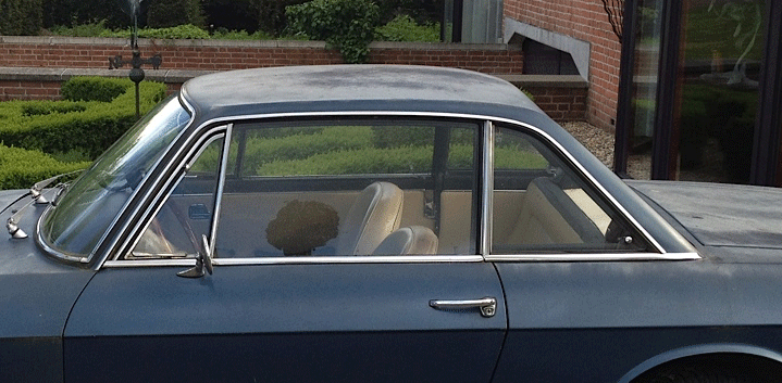 forumfoto.gif