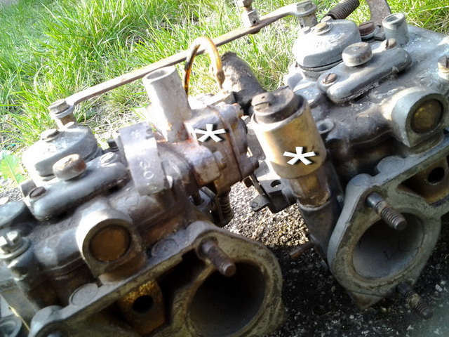 fulvia carbs.jpg