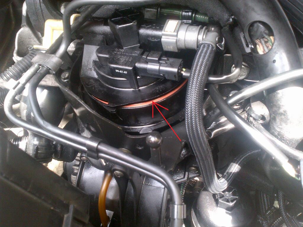 filtro gasolio.jpg