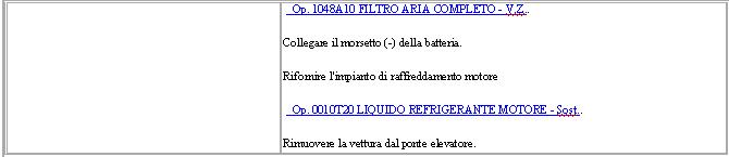 sr radiatore musa 5 di 5.jpg