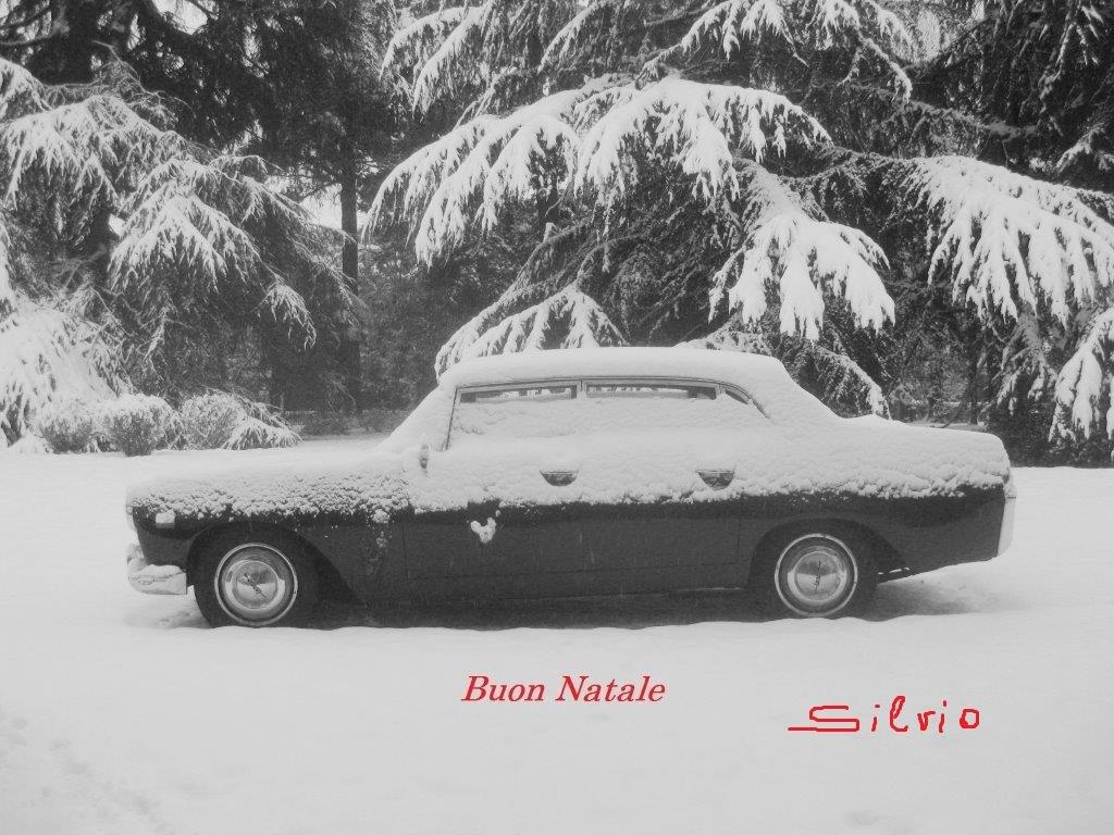 sotto la neve.jpg