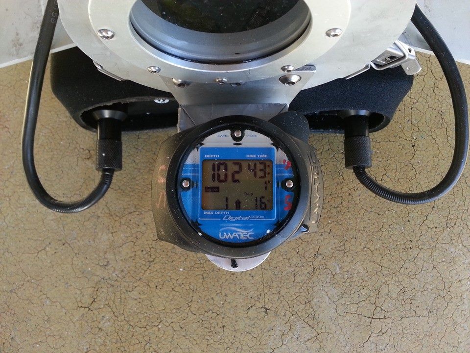 1473032_10201181464200398_585666773_n.jpg