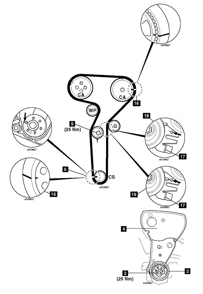 distribuzione thesis 2000 turbo.jpg