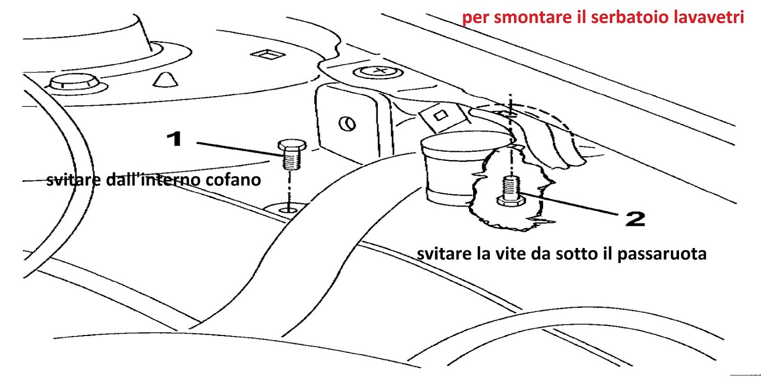 immagine.jpg
