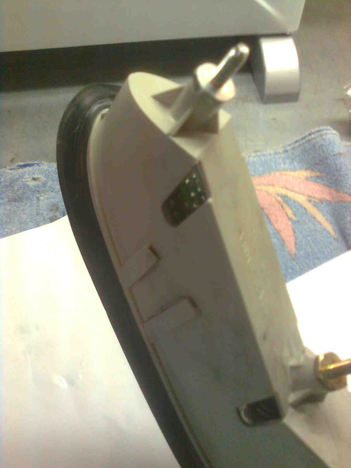 immag0539.jpg