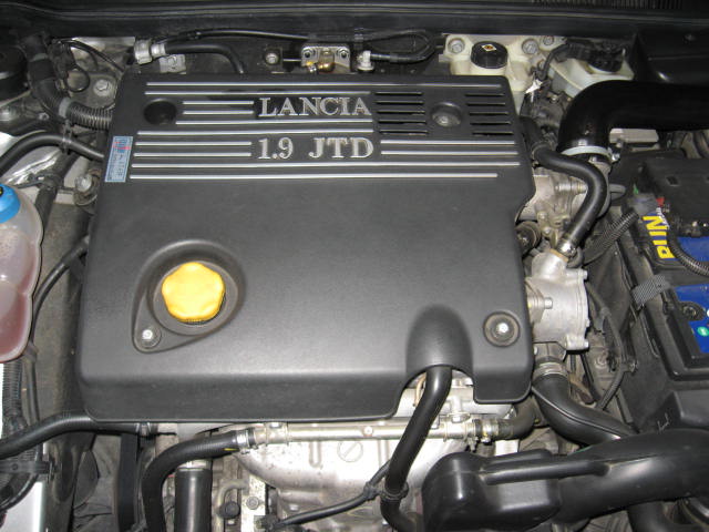 foto lybra 009.jpg