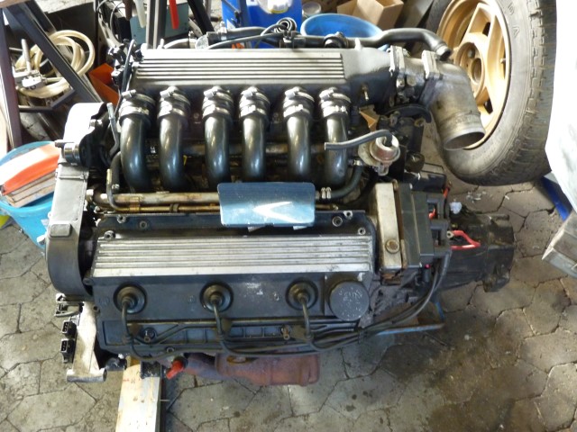 p1000031 (small).jpg