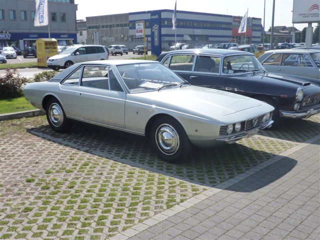 1 flaminia marica.jpg