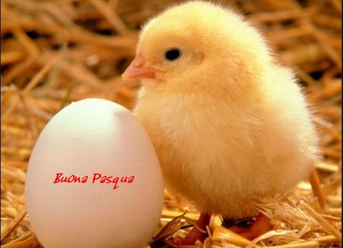 buona pasqua.jpg