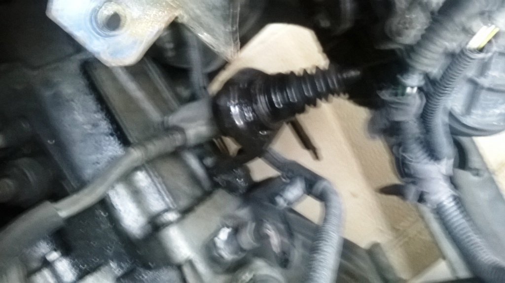 wp_20140611_003.jpg