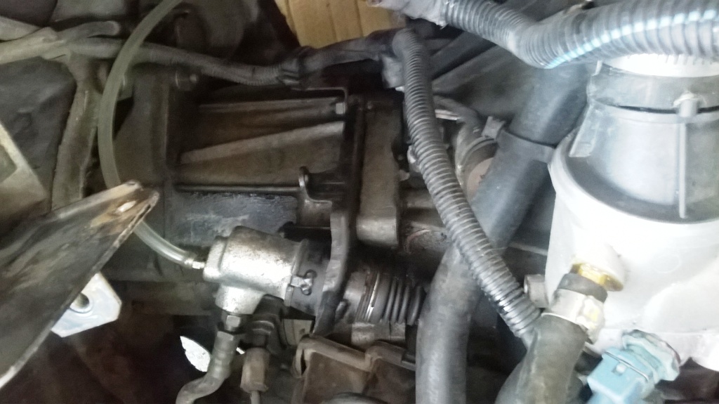 wp_20140611_004.jpg