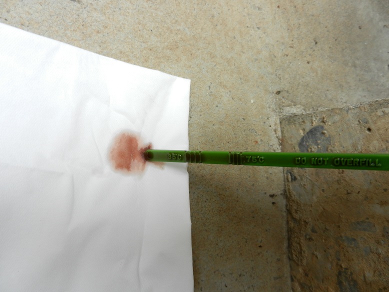 astina olio cambio.jpg
