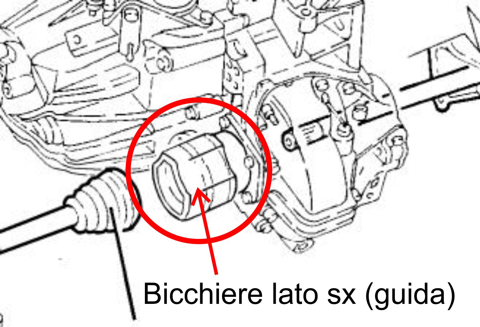 bicchiere.jpg