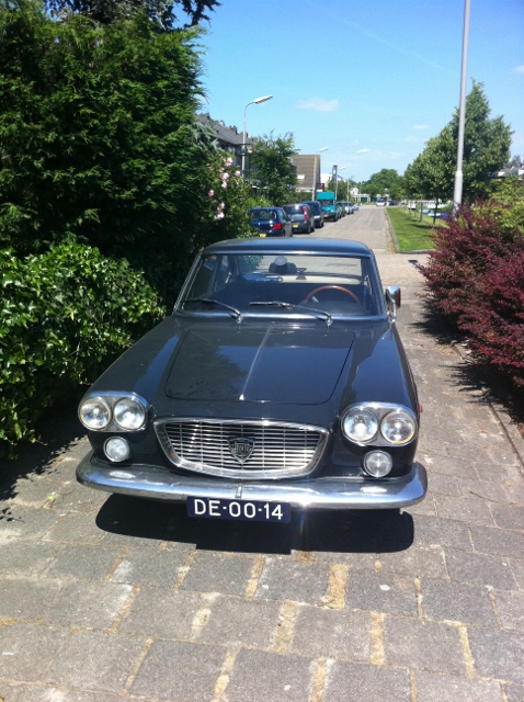 flavia (478x640).jpg