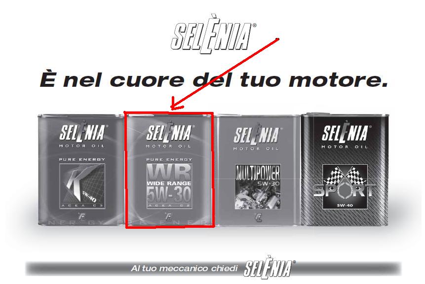 selenia 1 edizione 2010.jpg