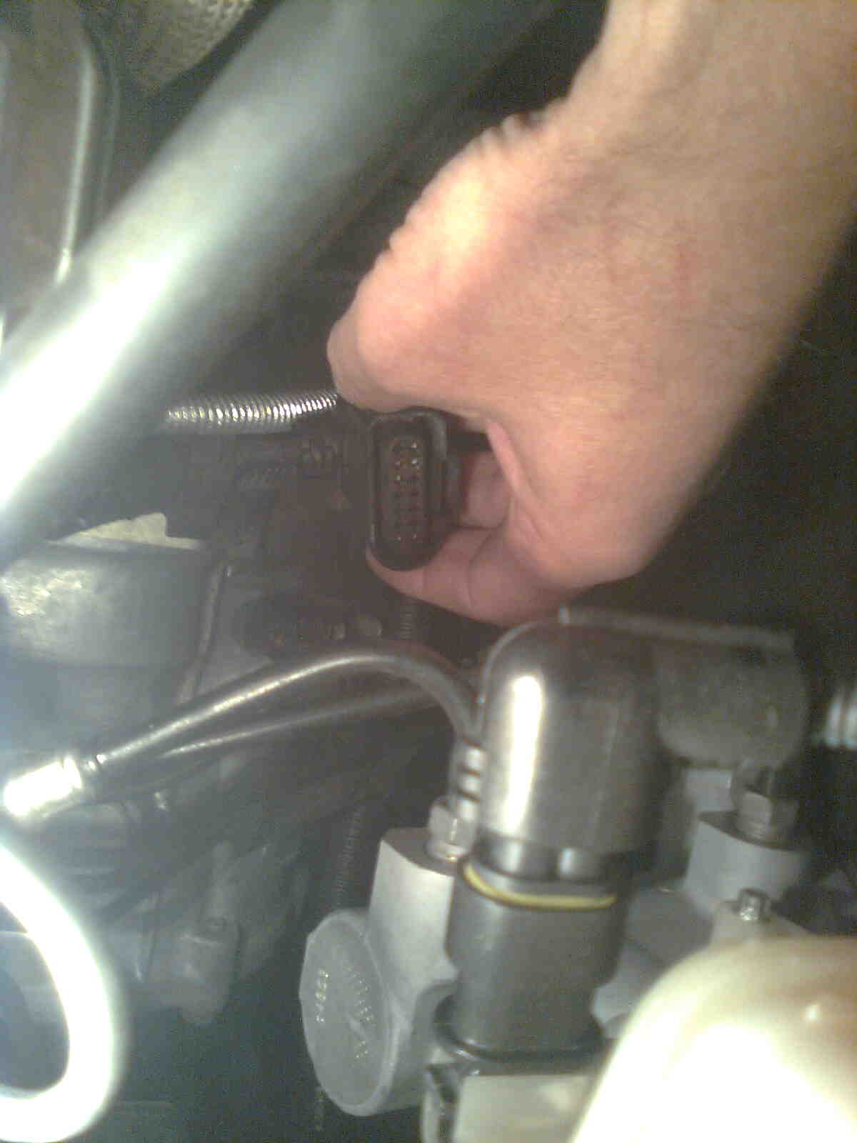 immag0561.jpg
