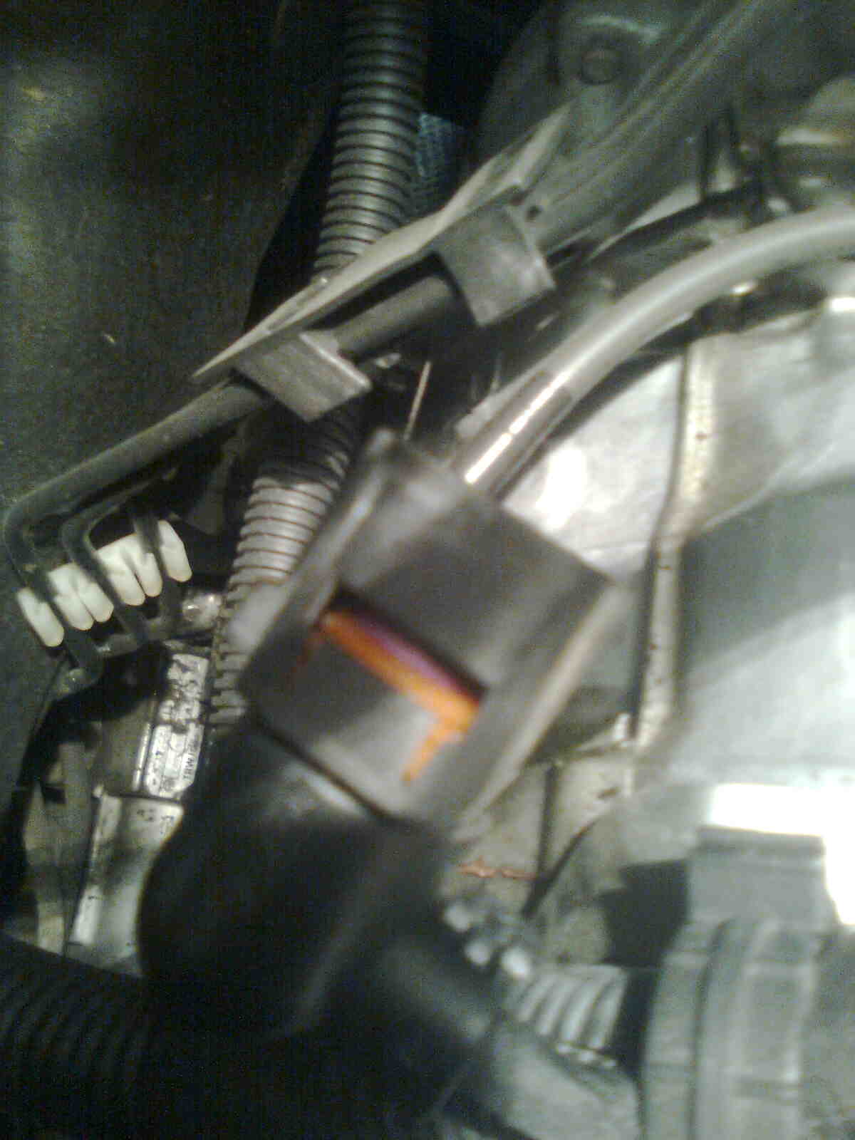 immag0563.jpg