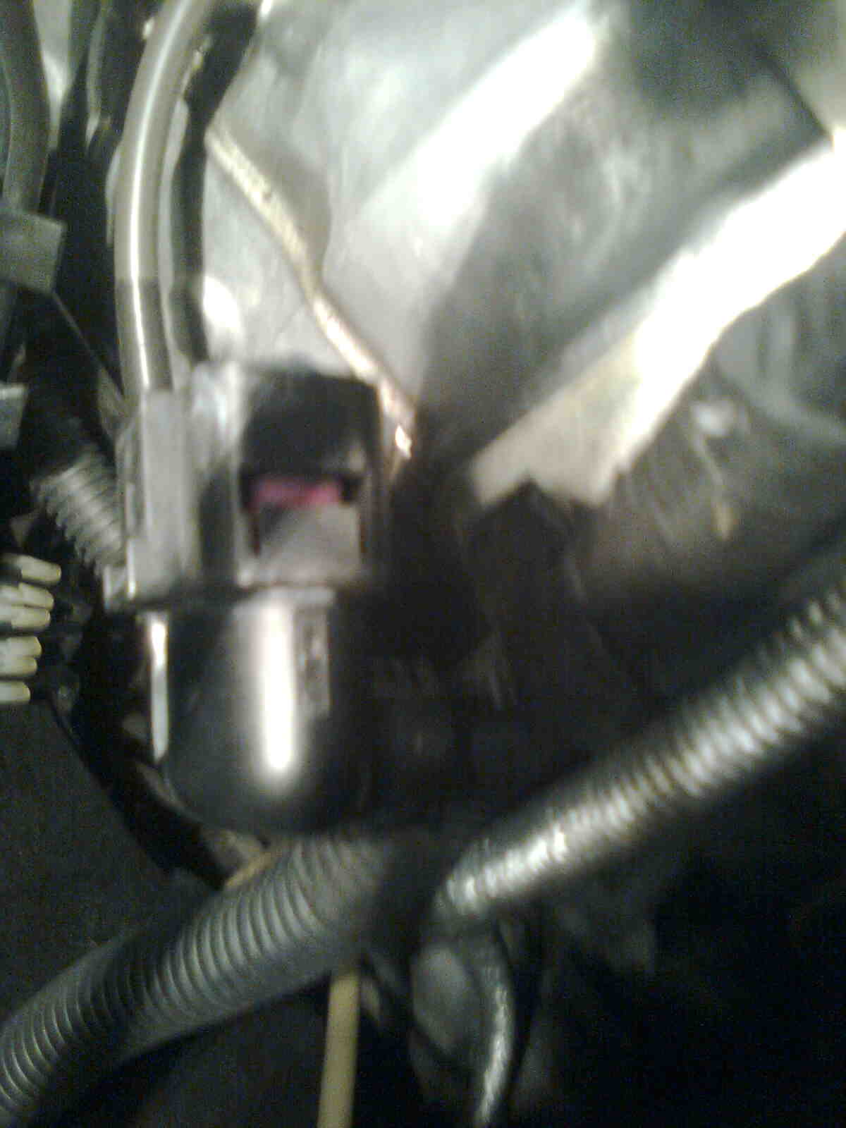 immag0560.jpg