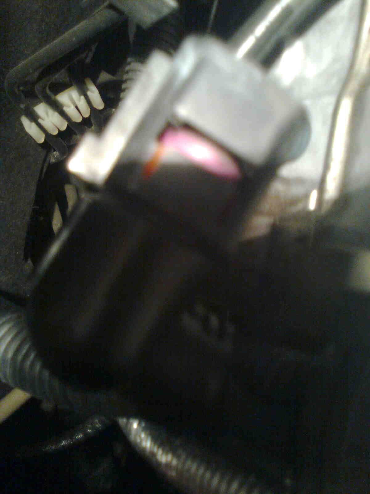 immag0559.jpg