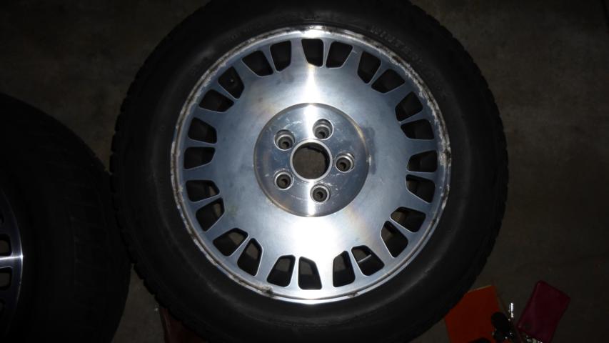 p1000071.jpg