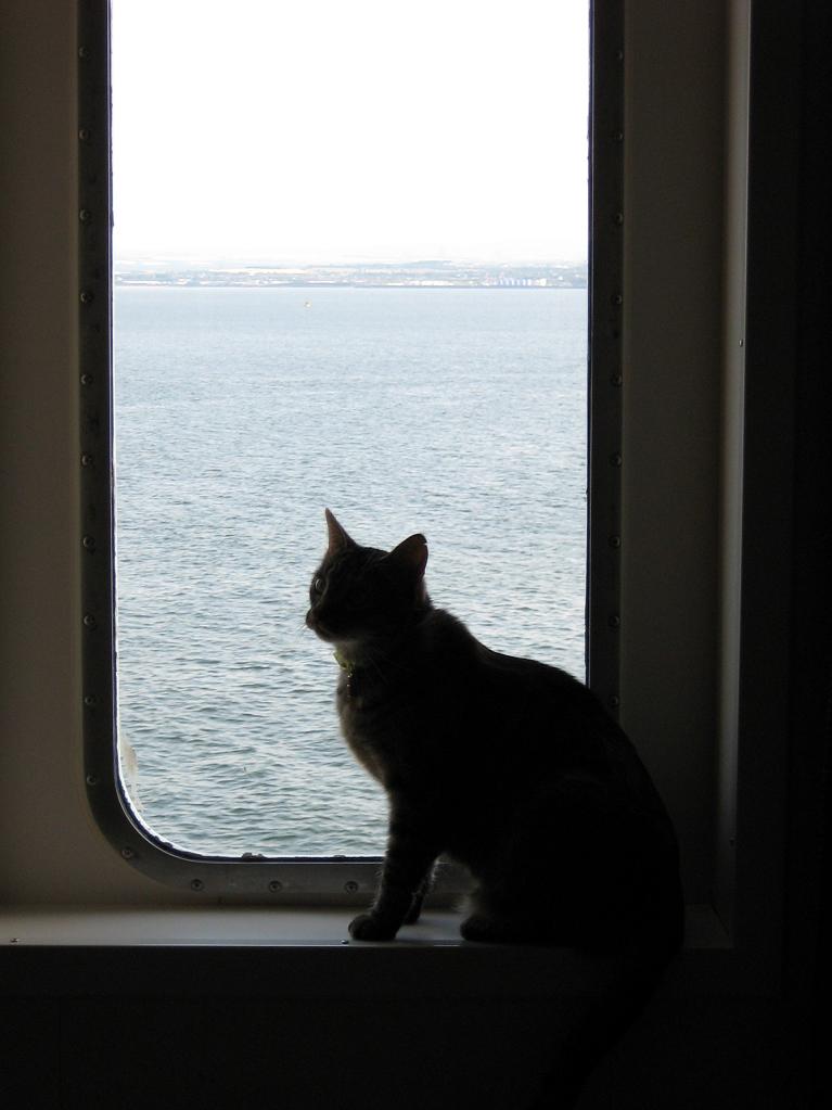 streepia achter het raam...van de boot 2007.jpg