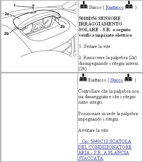 sr palpebra.jpg