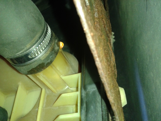 20141102_123128.jpg
