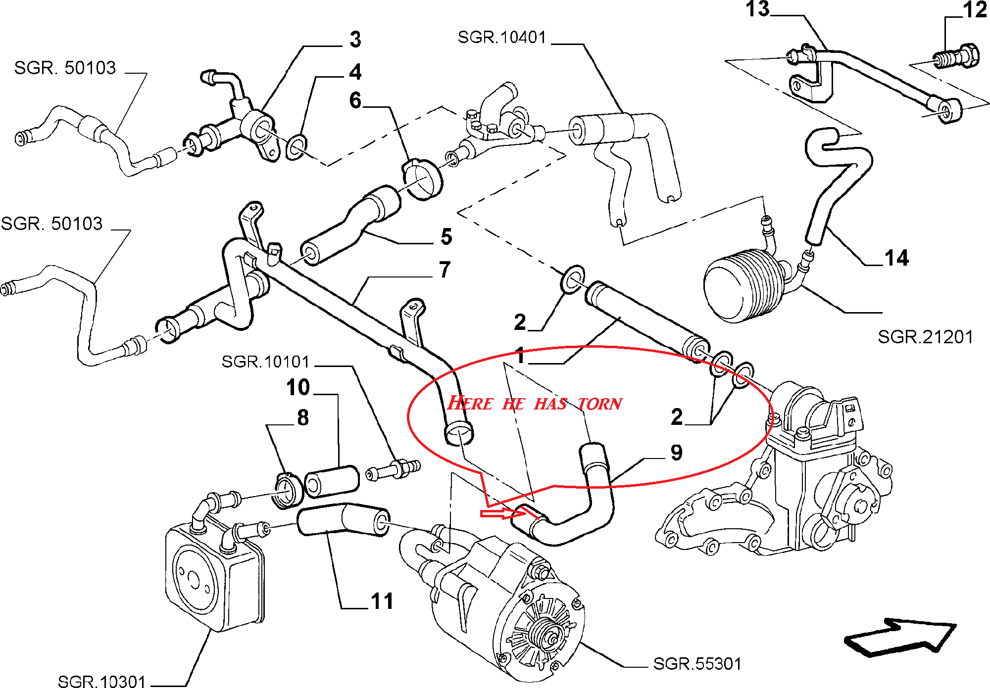 222214bc4c2334a4fbdc2b54f0ee43a9a5 (1)lancia.png