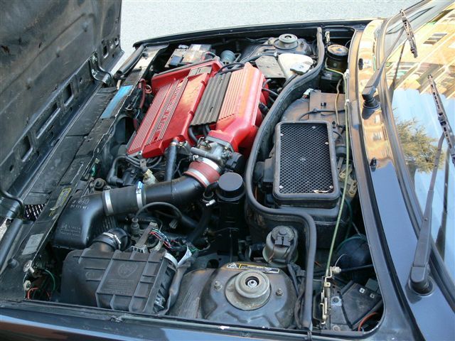 foto delta_7.jpg