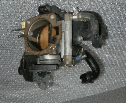 p5290042.jpg
