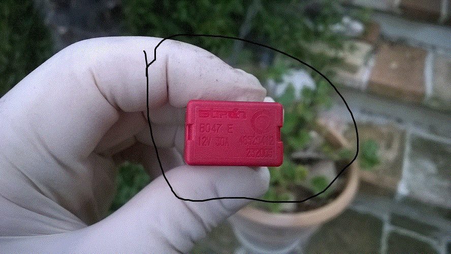 wp_20141123_16_15_11_pro.gif