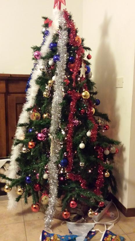 albero_2.jpg