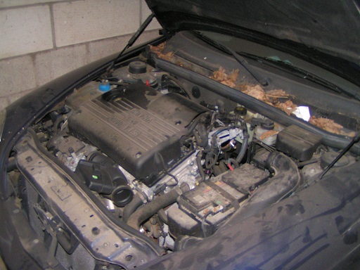 pict0067.jpg